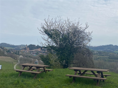 Area picnic | Aramengo (c/o...