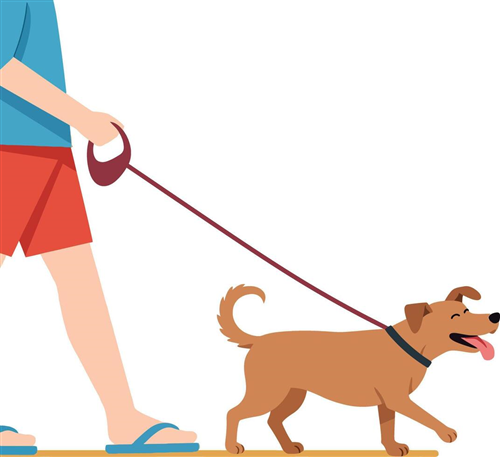 Ordinanza del Sindaco n. 07 del 19.11.2025